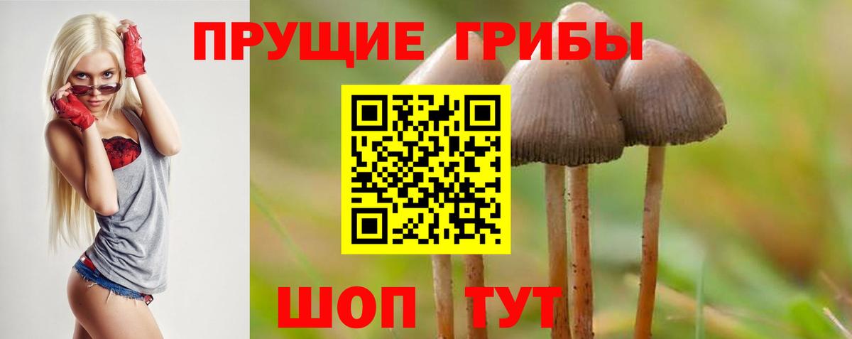Псилоцибиновые грибы Magic Shrooms  Вход с VPN  Бугульма 